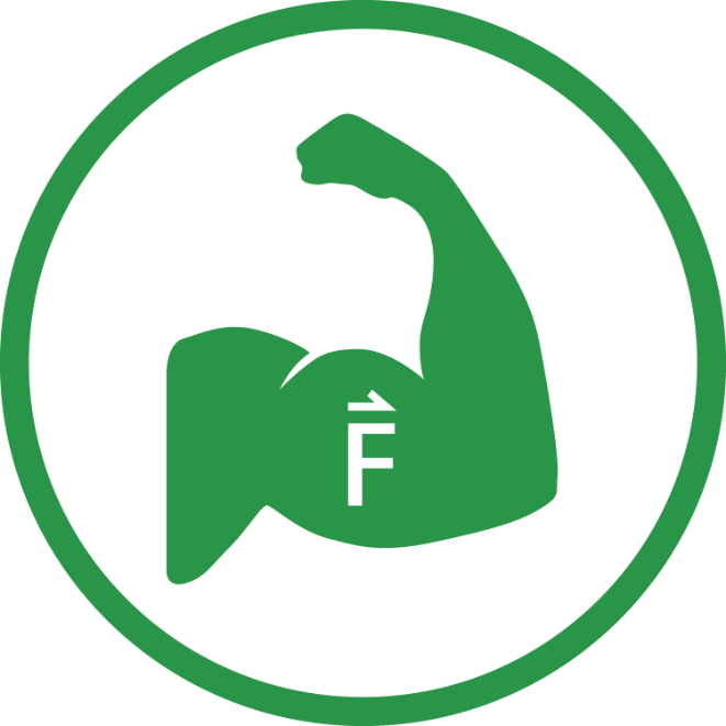 Icon-lohmann-force